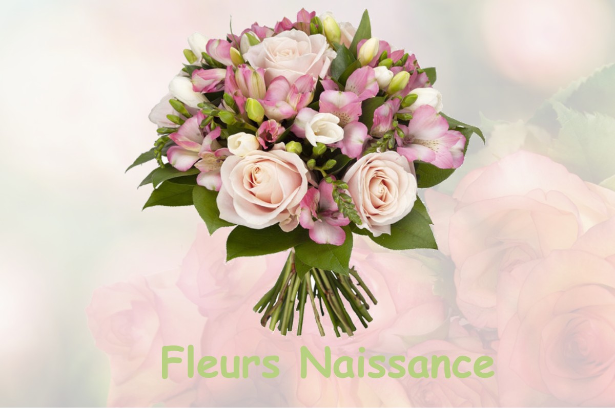 fleurs naissance FAYE-L-ABBESSE